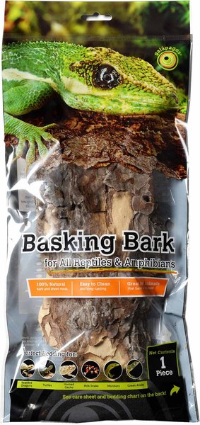 GALAPAGOS Basking Bark Terrarium Wood, Natural - Chewy.com