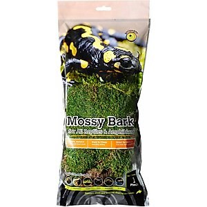 Galapagos Mossy Bark Terrarium Wood, Natural