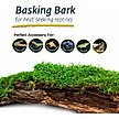 GALAPAGOS Mossy Bark Terrarium Wood, Natural - Chewy.com