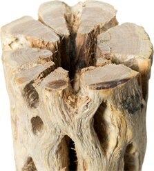 Galapagos Cholla Wood Branch Terrarium Accessory, Regular, 24-in slide 2 of 3
