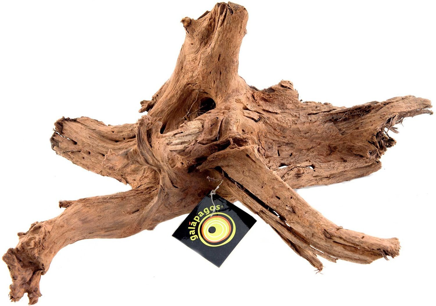 GALAPAGOS Sinkable Driftwood Terrarium & Aquarium Accessory, Natural ...