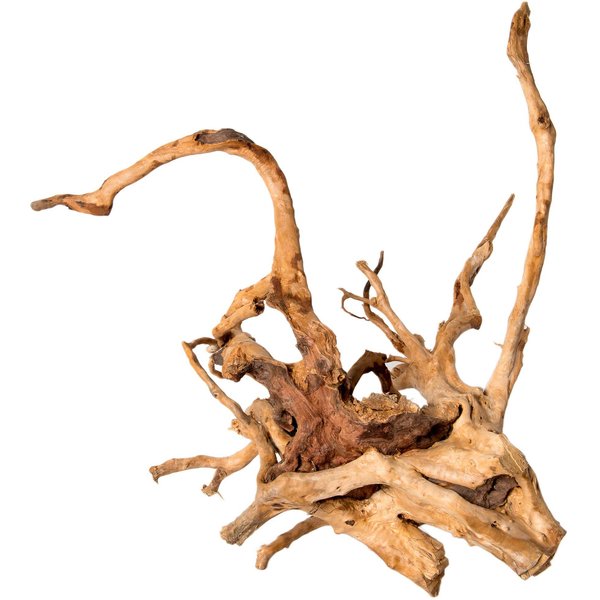 Small Spider Wood / Cuckoo Root-Approximate Size 6-12 - Lifegard