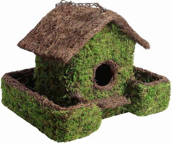 Galapagos Plantable Maison Patio Birdhouse, Fresh Green
