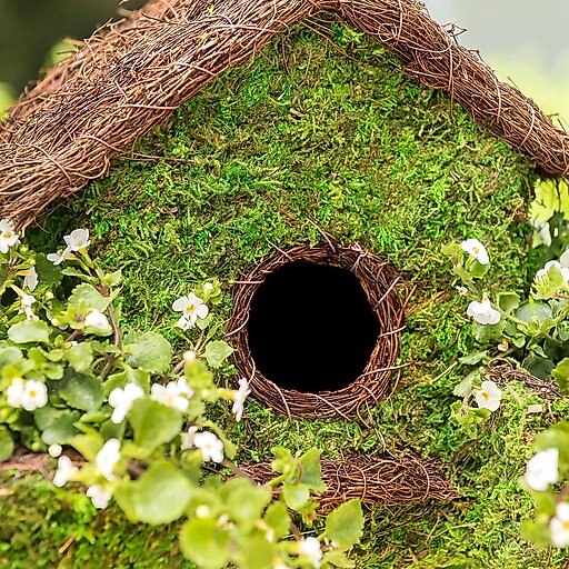Galapagos Plantable Maison Patio Birdhouse, Fresh Green