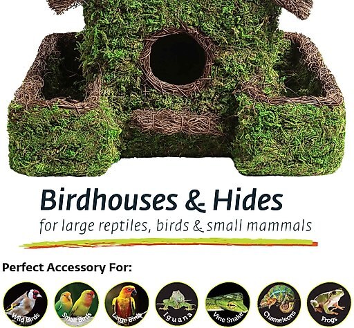 Galapagos Plantable Maison Patio Birdhouse, Fresh Green