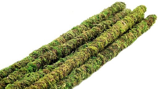 Galapagos Mossy Sticks, Fresh Green, 6 count, 24-in