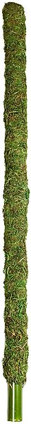 Galapagos Mossy Bird & Reptile Perch, Fresh Green, 36-in slide 1 of 5