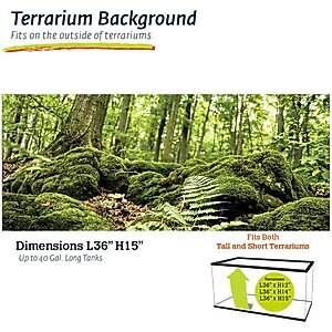 Galapagos Terrarium Background, Forest