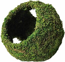 Galapagos Mossy Cave Reptile & Amphibian Terrarium Accessory, Fresh Green, 7.5-in