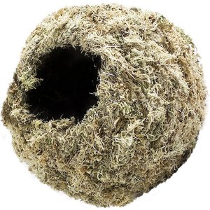 Frisco Terrarium Sphagnum Moss Reptile Bedding, 4-qt