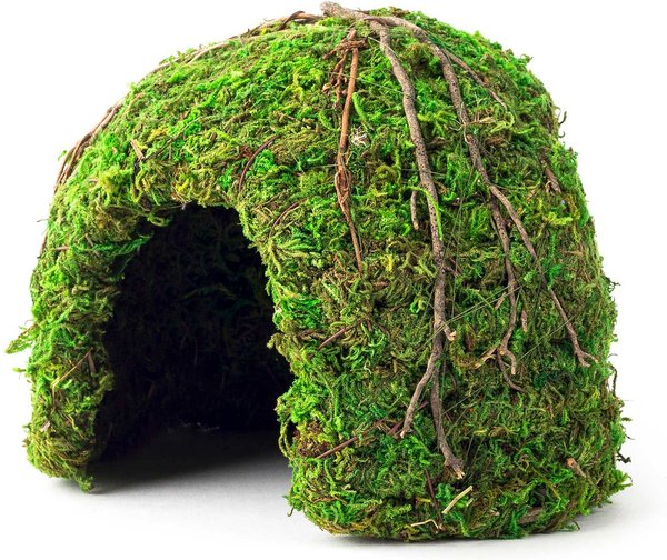 Galapagos Mossy Dome Reptile & Amphibian Terrarium Accessory, Fresh Green, 6-in slide 1 of 4