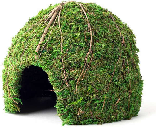 Galapagos Mossy Dome Reptile & Amphibian Terrarium Accessory, Fresh Green, 9-in slide 1 of 4