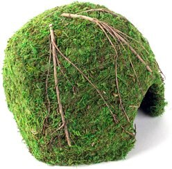 Galapagos Mossy Dome Reptile & Amphibian Terrarium Accessory, Fresh Green, 9-in slide 2 of 4