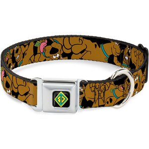 Buckle-Down Scooby Doo Polyester Dog Collar, Medium: 11 to 17-in neck, 1-in wide