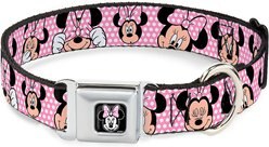 Buckle-Down Minnie Mouse Polyester Dog Collar, Medium: 11 to 17-in neck, 1-in wide