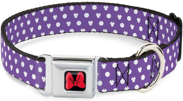 Buckle-Down Minnie Mouse Bow Polyester Dog Collar, Medium: 11 to 17-in neck, 1-in wide slide 1 of 9