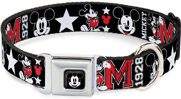 Buckle-Down Mickey Mouse Polyester Dog Collar, Small: 9 to 15-in neck, 1-in wide slide 1 of 9