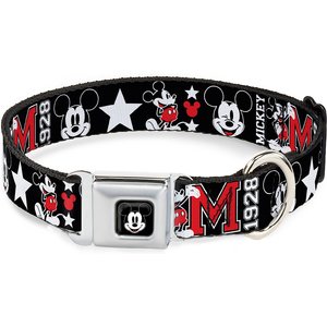 Buckle-Down Mickey Mouse Polyester Dog Collar, Small: 9 to 15-in neck, 1-in wide