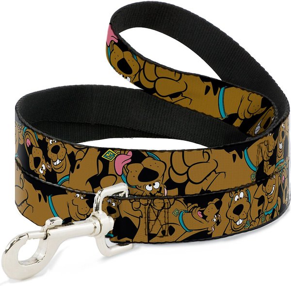Buckle-Down Scooby Doo Polyester Standard Dog Leash, Small: 4-ft long, 1-in wide slide 1 of 4