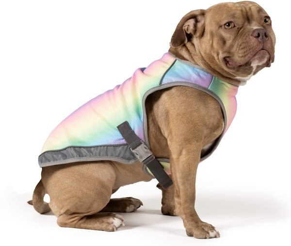 CANADA POOCH Cooling Dog Vest, Rainbow, 12