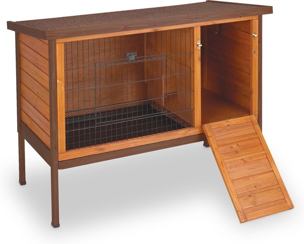 rabbit hutch chewy