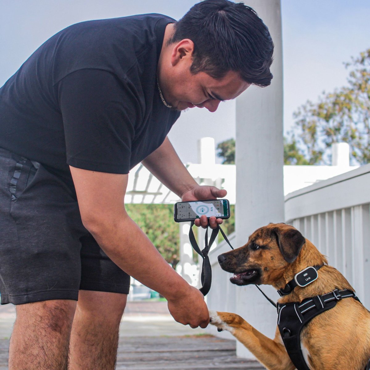 Paw link gps outlet tracker