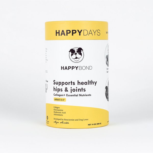HAPPYBOND Happy Days Hip & Joint Support Adult Dog Supplement, 14-oz jar slide 1 of 4