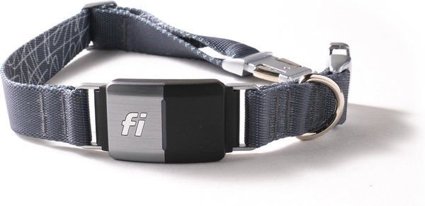 Fi Series 2 GPS Tracker Smart Dog Collar, Gray, Small: 11.5 to 13.5-in neck, 1-in wide slide 1 of 5