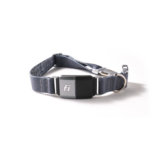 FI Series 2 GPS Tracker Smart Dog Collar, Gray, Small: 11.5 to 13.5-in  neck, 1-in wide 