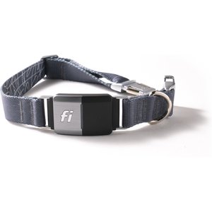 Fi Series 2 GPS Tracker Smart Dog Collar, Gray, Medium: 13.5 to 16.5-in neck, 1-in wide