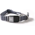 Fi Series 2 GPS Tracker Smart Dog Collar, Gray, Large: 16 to 22.5-in neck, 1-in wide