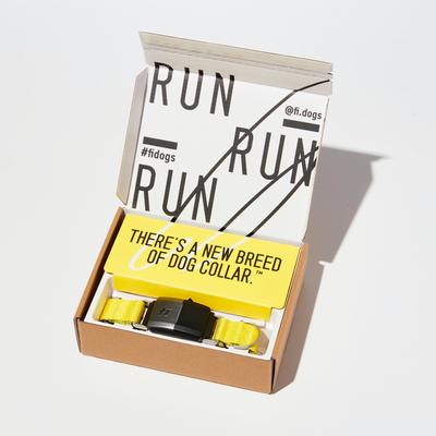 Show full view: Fi Series 2 GPS Tracker Smart Dog Collar, Yellow, Small: 11.5 to 13.5-in neck, 1-in wide slide 2 of 9