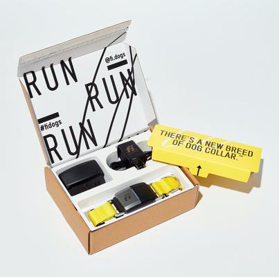 Show full view: Fi Series 2 GPS Tracker Smart Dog Collar, Yellow, Small: 11.5 to 13.5-in neck, 1-in wide slide 7 of 9