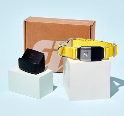 Show full view: Fi Series 2 GPS Tracker Smart Dog Collar, Yellow, Large: 16 to 22.5-in neck, 1-in wide slide 5 of 10