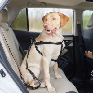 Frisco Adjustable Dog Seatbelt Tether, Reflective Black, Length: 3-ft, Width: 1-in, 1 count