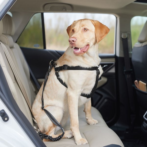 SLOWTON Adjustable Dog Car Seat Belt, 2 count, Black 