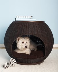 The Refined Feline Deluxe Igloo Covered Cat & Dog Bed, Espresso