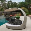 Discontinued - THE REFINED FELINE Waterproof Covered Outdoor Dog Bed ...