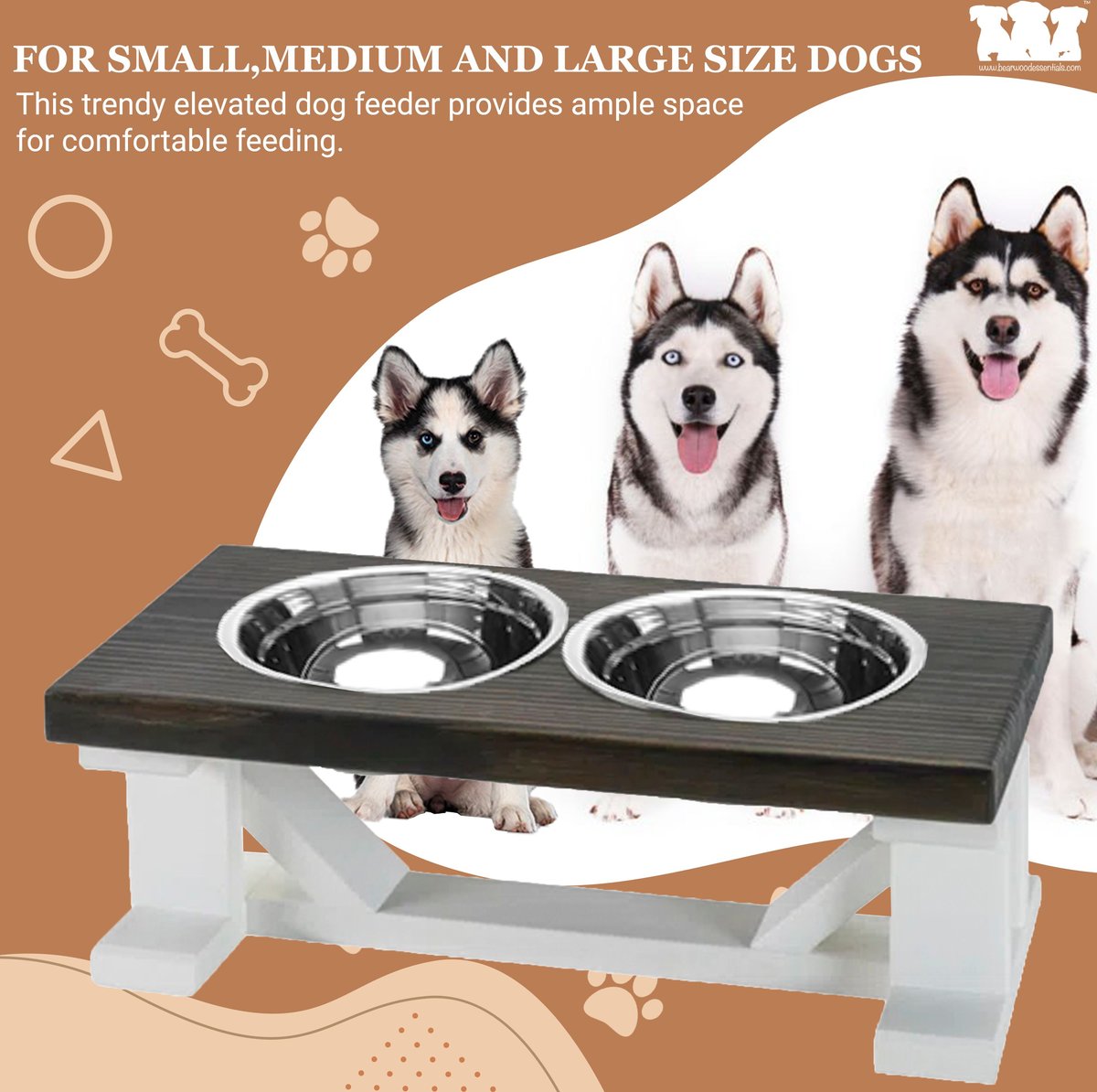 Chewy elevated dog outlet bowl