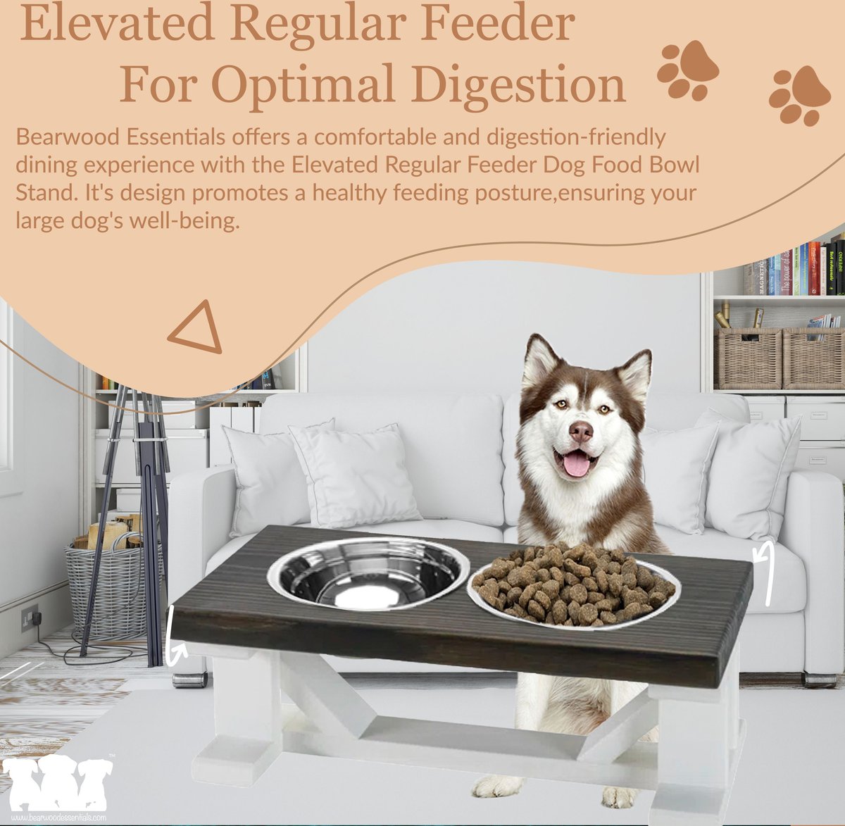 Chewy dog outlet feeders