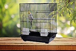 A&E Cage Company 18-in Flat Top Bird Cage, Black, Small