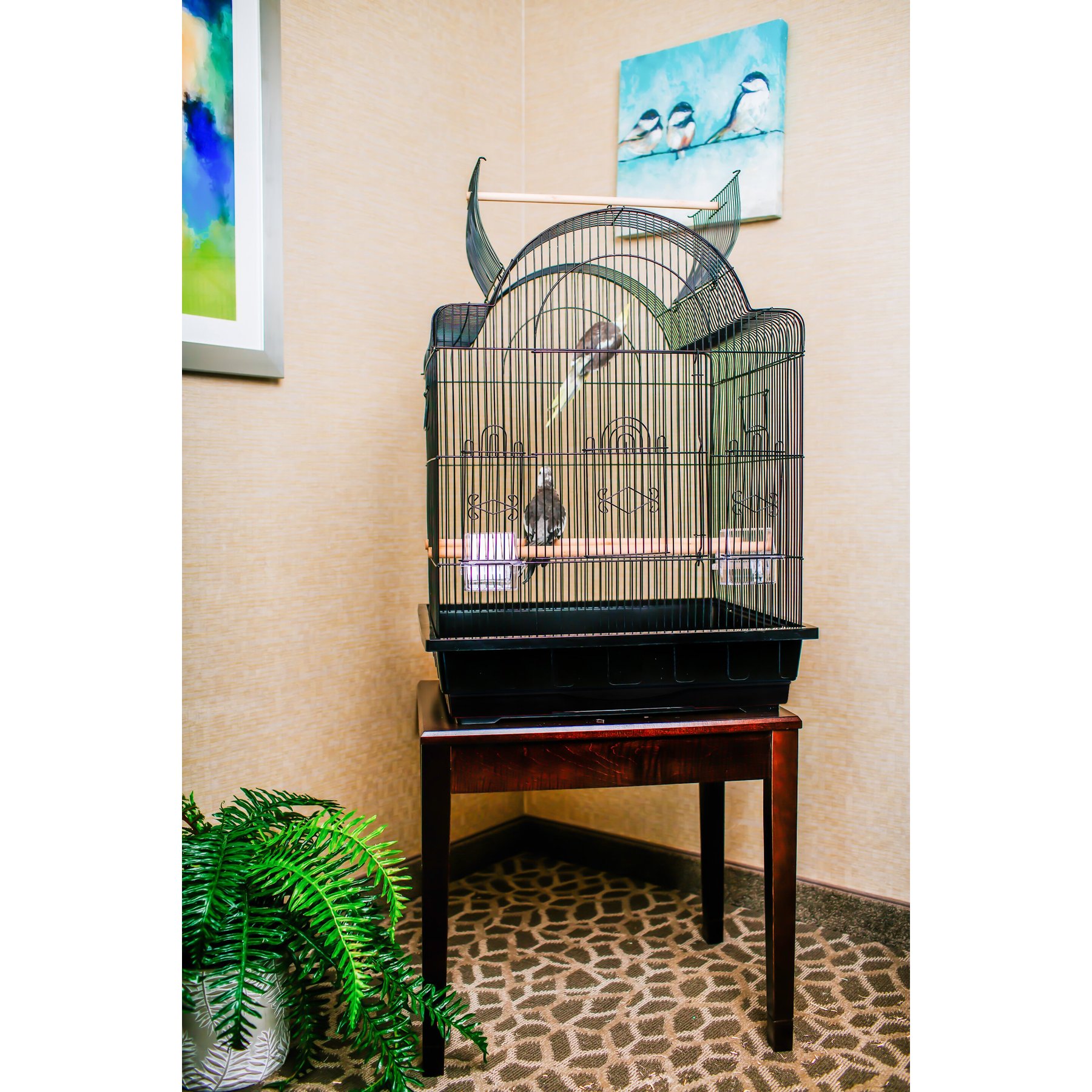 A&E Cage Company 2620 Victorian Open Top Bird Cage in Platinum, 26 L X 20  W X 65 H