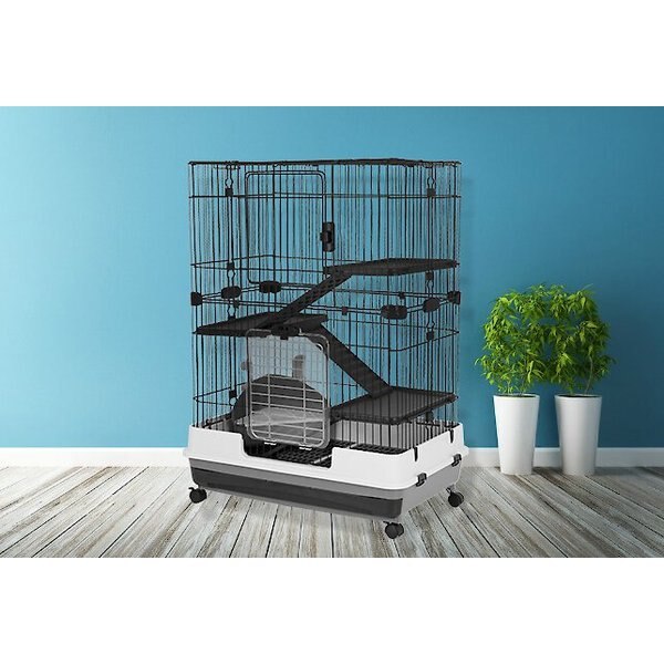 Out of Stock A&E CAGE COMPANY 43in Deluxe 4Tier Small Animal Cage