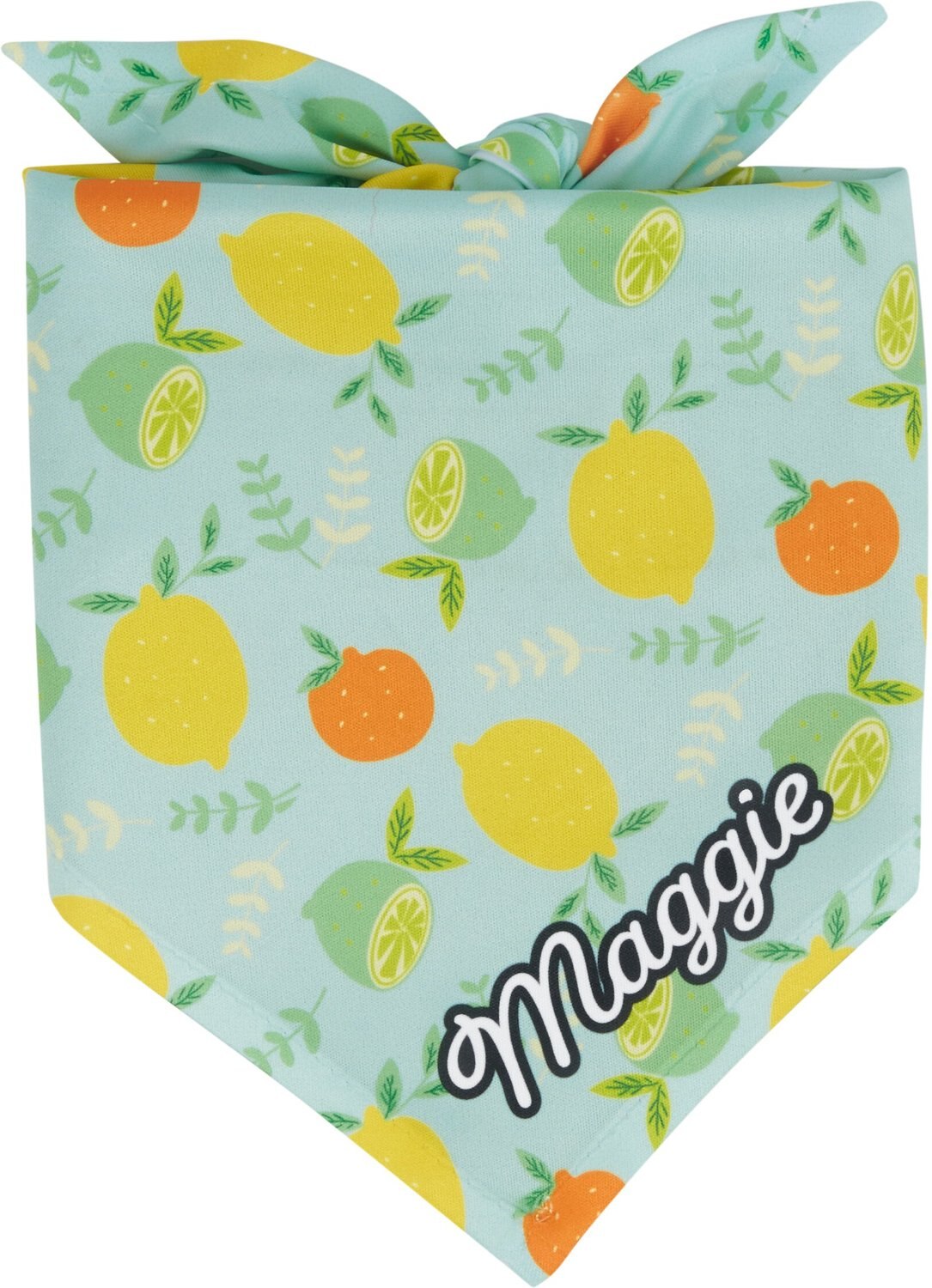 Frisco Citrus Personalized Dog & Cat Bandana