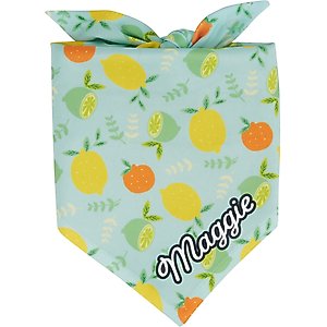 Frisco Citrus Personalized Dog & Cat Bandana, Large