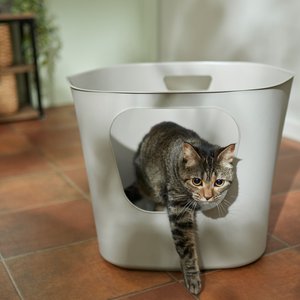 Frisco Leaf High-Sided Cat Litter Box, Large
