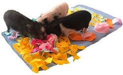Piggy Poo and Crew Pig Rooting Snuffle Mat, Medium