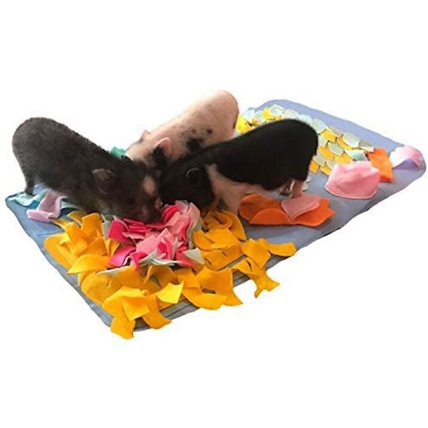 Piggy Poo and Crew Colorful Snuffle Rooting Activity Mat Heavy