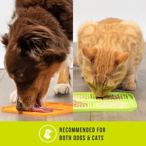Hyper Pet IQ Rewards Cat & Dog Slow Feeder, 2 count