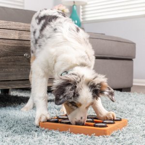 Interactive Treat Dispensing Puppy Toys - Dog Bones for Aggressive FMBI  Sales